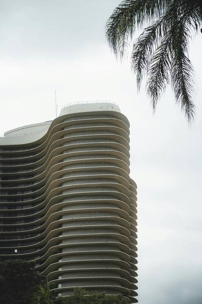 Edifício Niemeyer com palmeira — BH